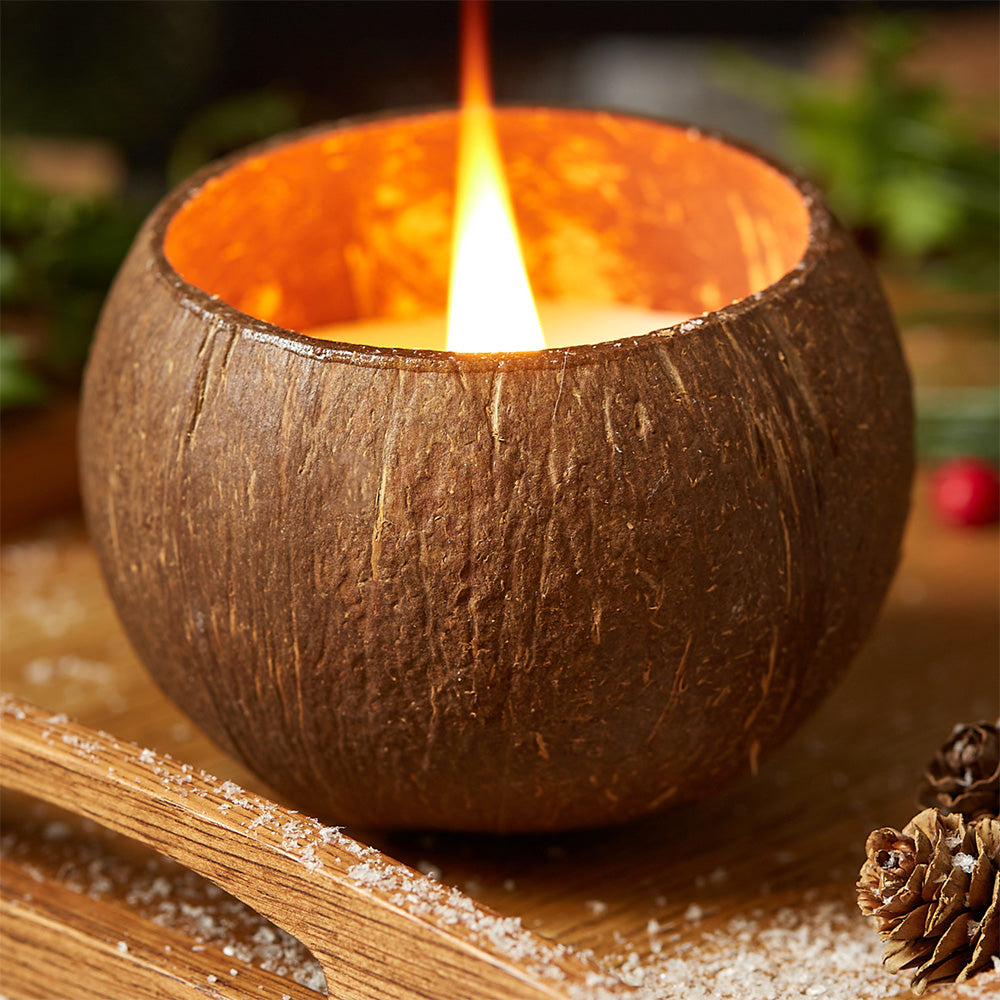 Toasted Coconut Shell Candle